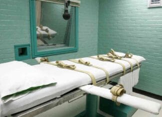 news-25092024-113504