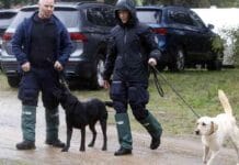 news-25092024-113658