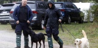 news-25092024-113658