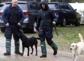 news-25092024-113658