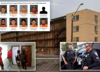 news-26092024-032939