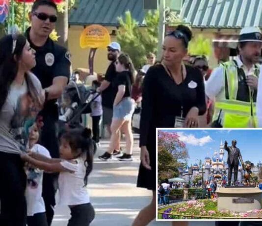 New Title: Disneyland Mom Speaks Out After Arrest for… news-27092024-104116