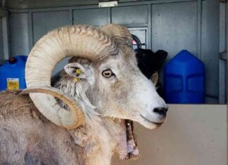 news-02102024-180639