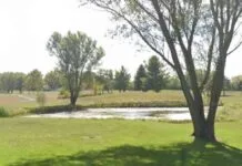 news-04102024-052046