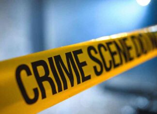 news-25102024-223629