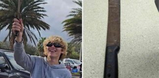 news-31102024-010759