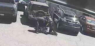 Man Suffers Third-Degree Burns from Hot Asphalt During Arrest news-31102024-071216