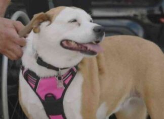 news-01112024-175455