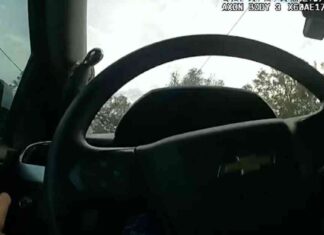 news-03112024-074832