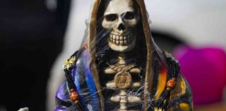 news-04112024-164808