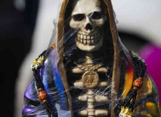 news-04112024-164808