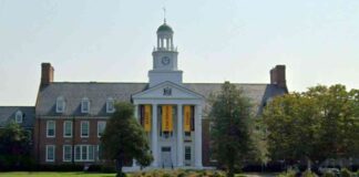 news-08112024-032605