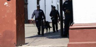 Tragic Shooting at Mexico Bar Leaves 10 Dead, Including 3 Women news-10112024-212534