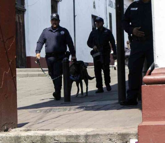 news-10112024-212534