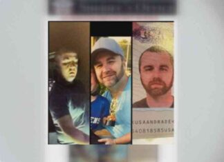 news-11112024-094132