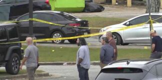 news-11112024-094201