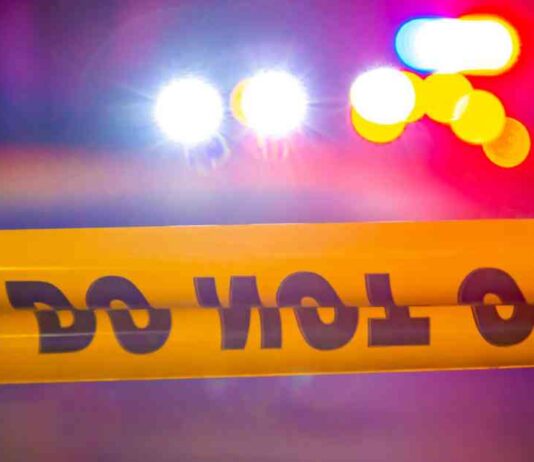 news-18112024-155602