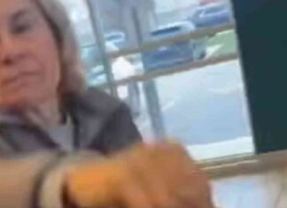 news-20112024-040557