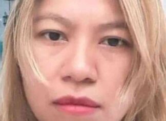 news-22112024-075907