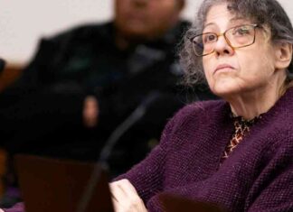 news-26112024-052239