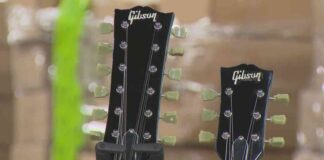 news-27112024-053316