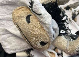 news-27112024-234202