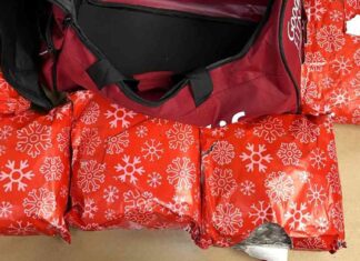 canadian-woman-faces-legal-trouble-for-alleged-llegal-christmas-gifts-at-airport