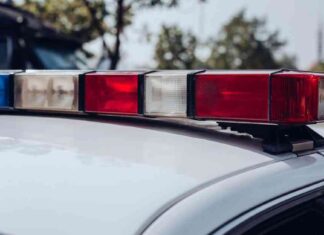 florida-pizza-delivery-worker-stabs-pregnant-customer-over-2-tip