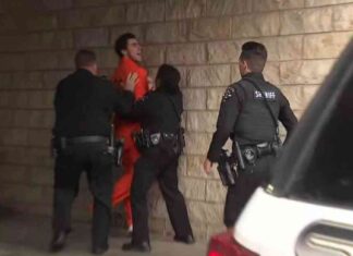 luigi-mangione-outburst-during-extradition-hearing-in-unitedhealthcare-ceo-shooting-case