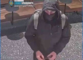 manhunt-underway-for-unitedhealthcare-ceos-killer