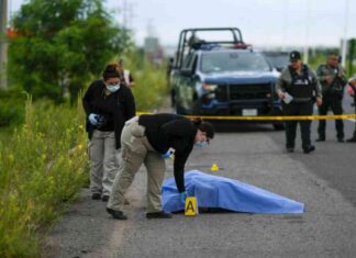 mpact-of-cartel-leaders-arrest-in-us-on-mexican-city-hundreds-dead-citizens-fearful
