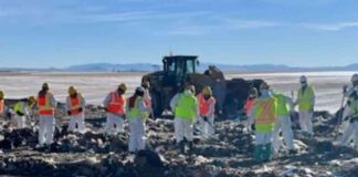 murdered-woman-found-in-suitcase-authorities-nvestigate