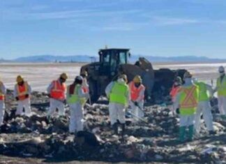 murdered-woman-found-in-suitcase-authorities-nvestigate