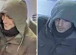 nvestigation-reveals-nyc-hostel-link-to-unitedhealthcare-ceo-shooting-key-clue-uncovered