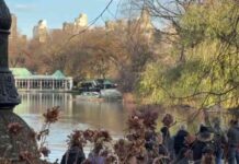 search-for-weapon-used-in-unitedhealthcare-ceo-shooting-in-central-park-lake-nypd-divers-target-weapon
