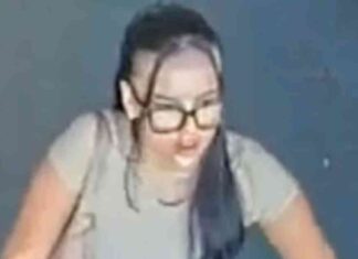 tiktok-nfluencer-caught-shoplifting-police-nvestigate-repeat-offender