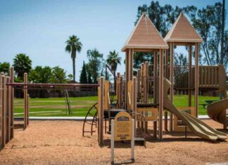 Tragic Incident: 3 Dogs Euthanized for Fatally Mauling Owner tragic-ncident-3-dogs-euthanized-for-fatally-mauling-owner