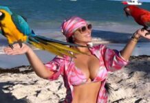 capturing-a-drug-lord-the-story-behind-a-womans-holiday-pictures