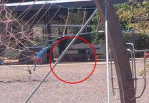 police-nvestigate-murder-after-body-found-under-picnic-table