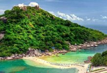 uncovering-the-tragic-deaths-on-death-sland-nvestigating-the-loss-of-life-on-koh-tao