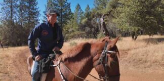 Discovery of Missing Teen’s Pre-Dug Grave on California Trail discovery-of-missing-teens-pre-dug-grave-on-california-trail
