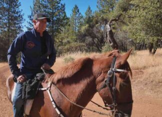 discovery-of-missing-teens-pre-dug-grave-on-california-trail