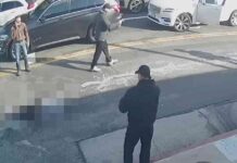 hit-and-run-driver-leaves-victims-body-on-busy-street