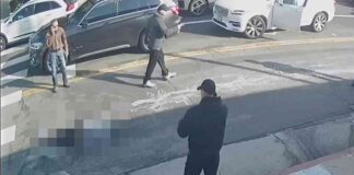 hit-and-run-driver-leaves-victims-body-on-busy-street