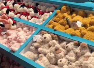 organised-jellycat-gangs-rise-of-toy-shoplifting-a-concern