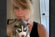 barking-dogs-aid-murder-case-nvestigation