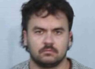 karma-catches-up-with-award-winning-fake-tradie