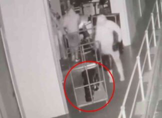 airbourne-band-falls-victim-to-melbourne-crime-wave-what-happened