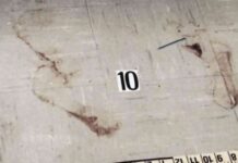 decadeslong-search-for-answers-bloody-footprints-in-minneapolis-murder-scene