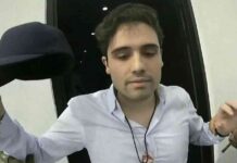 family-members-of-cartel-leader-enter-us-in-deal-with-trump-administration-mexico-reports